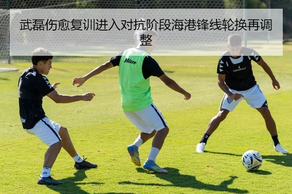 武磊伤愈复训进入对抗阶段海港锋线轮换再调整